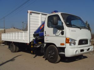 Plataforma con barandas camion Hyundai con pluma